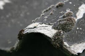 Cursussen asbest asbestinventarisatie asbest verwijderen toezicht houden asbestsloop herhaalcursus DTA en DIA